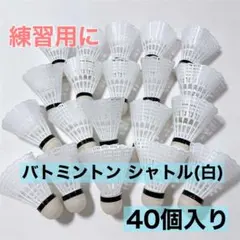 2026年最新】ノックシャトルの人気アイテム - メルカリ