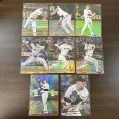 Item thumbnail for item 1c40e47d-6f52-4af3-b2fd-bf299b452d38