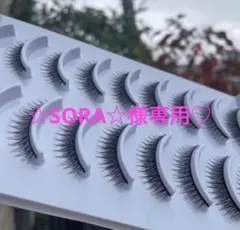 ☆SORA☆様専用