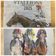 「社台スタリオンＳ種牡馬カタログ 2002年版 ウマ娘登場名馬多数掲載」 社台スタリオンS種牡馬カタログ 2002年版 ウマ娘登場名馬多数