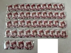 すとぷり 莉犬くん アリツア デフォ 缶バッジ 44点