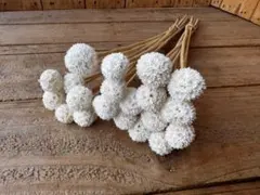 Ne*　インスタ　@ne_0403様 リクエスト 2点 まとめ商品