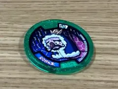 妖怪ウォッチ 妖怪メダルＵ じこけん王 QRコード未登録 中古 送料込