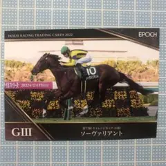 アドマイヤデイトナ　ルメール　ホースレーシングカード 世界限定 ケース台座付 2025年最新】ホースレーシングカード ルメールの人気アイテム