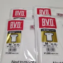 Item thumbnail for item 4478a7ef-8ccc-4c14-b819-918b7292a460