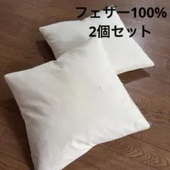【フェザー100%】クッション 2個セット 35×34cm アイボリーのサムネイル