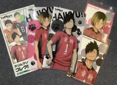 ハイキュー‼︎ スリムクリアファイルコレクション　音駒　２種