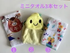 ミニタオル3本セット