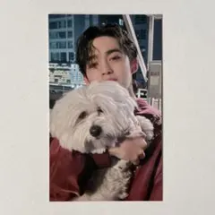 SEVENTEEN セブチ エスクプス トレカ 東京ドーム FML 会場限定