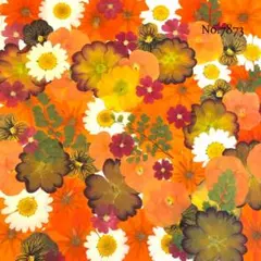 Haru工房❁⃘*.゜プロフ必読⚠️様 リクエスト 5点 まとめ商品