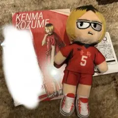 ハイキュープラザ