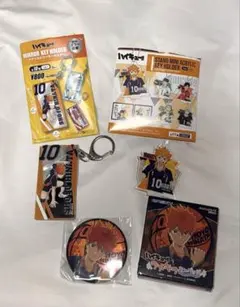 日向翔陽 まとめ買い キーホルダー 缶バッジ