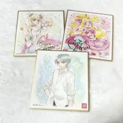 の*ぶ様 プリキュア 色紙ART7