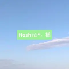 ‎Hoshi‎✩*。様専用ページ