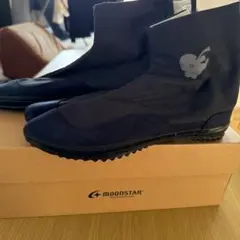 Item thumbnail for item 59dafda7-2e4b-413e-ad96-3231e5e8ec31