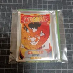 僕のヒーローアカデミア　ステータスカードコレクション　第2弾　エンデヴァー