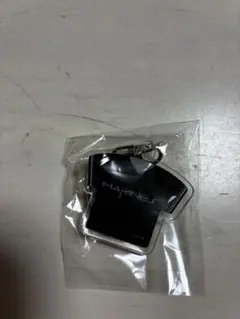 【新品】千葉ロッテマリーンズ　アクリルキーホルダー　BSW 東洋合成