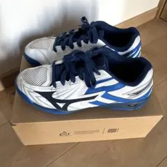 Item thumbnail for item 07386e78-dd1d-41a6-abc2-bcc54a2e794e