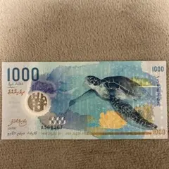 2026年最新】ジンベイのお札の人気アイテム - メルカリ