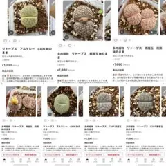 専用❤️速達付き同梱割引はる様 リクエスト 7点 まとめ商品