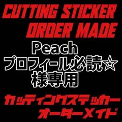 COOLでイケてる！カッティングステッカー オーダー受付 チーム名等！バイク