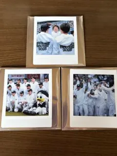 千葉ロッテマリーンズ　シークレットチェキ