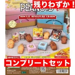 スヌーピー ビスケット ミニチュアチャーム コンプセット