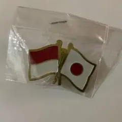 【超レア】大阪・関西万博 インドネシア パビリオン スタッフ限定　ピンバッジ 大阪・関西万博 ピンバッジ インドネシアパビリオン限定 - メルカリ