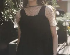 SNIDEL　シアーカットチュールトップス