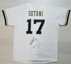 Item thumbnail for item 682dba3e-c1a9-4214-8c50-4e197b8e0b8d