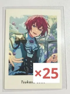 朱桜司 vol.4 ぱしゃっつ 25枚セット