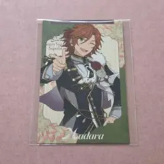 三毛縞斑 スタフォニ カード