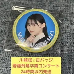 Item thumbnail for item 2cb410e9-782c-400a-a24b-5c922341b867