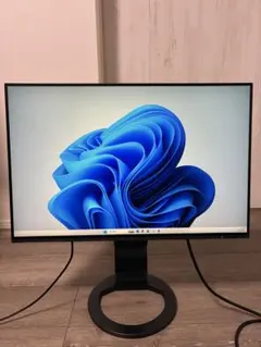 eizo ディスプレイモニター2495 fiex scan 使用2時間 eizo ディスプレイモニター2495 fiex scan 使用2時間 - メルカリ