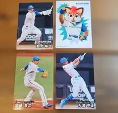 プロ野球チップス　北海道日本ハムファイターズ26枚セット カルビー プロ野球チップス 北海道日本ハムファイターズ 8枚セット