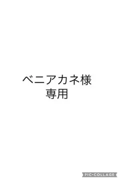 ベニアカネ様専用ぬいぐるみ