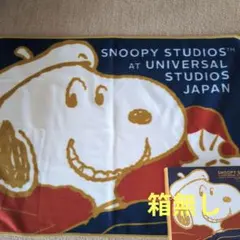 日本生命　スヌーピー ブランケット