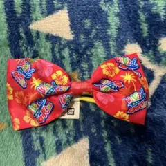 Item thumbnail for item 357a9cdf-5adb-45e5-8c92-3ec89a050548