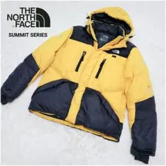 バートン別注✨THE NORTH FACE サミットシリーズ ヌプシ型 ダウン