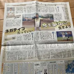 川崎宗則サイン入りぬいぐるみ 川崎宗則サイン入りぬいぐるみ 2025年最新】川﨑_宗則の人気アイテム