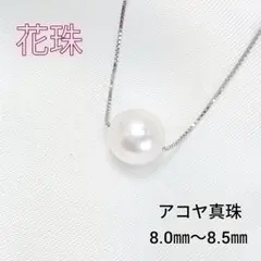 【新品】花珠 アコヤ真珠 ネックレス SV925 8㎜～8.5㎜ 鑑別書 一粒