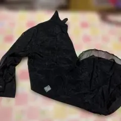 シースルー黒長袖シャツ