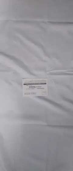 フィットボクシング2