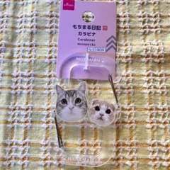 もちまる　ダイソー　カラビナのサムネイル