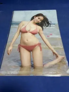 Item thumbnail for item 2490bd7d-d92b-4419-bb28-3f1ba412cce4