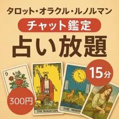 【24h以内返信】タロット・ルノルマン・オラクル占い放題15分優しく背中を押す