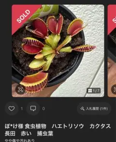 ぽんすけ様専用　送料分