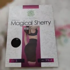 ✨新品／Magical Sherry／骨盤ショーツ／ブラック／L✨