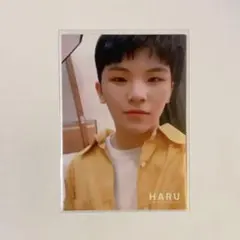 SEVENTEEN HARU トレカ ウジ