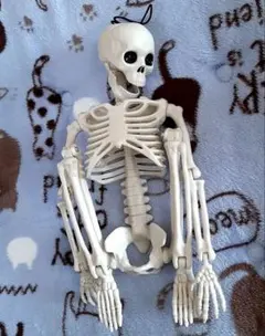 ガイコツ　フィギュア